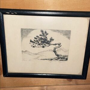 Framed Tree Sketch Art
